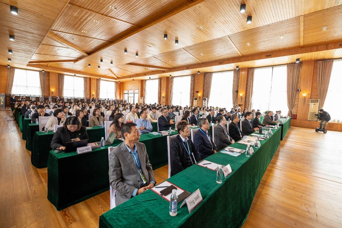 image009.jpg image009.jpg